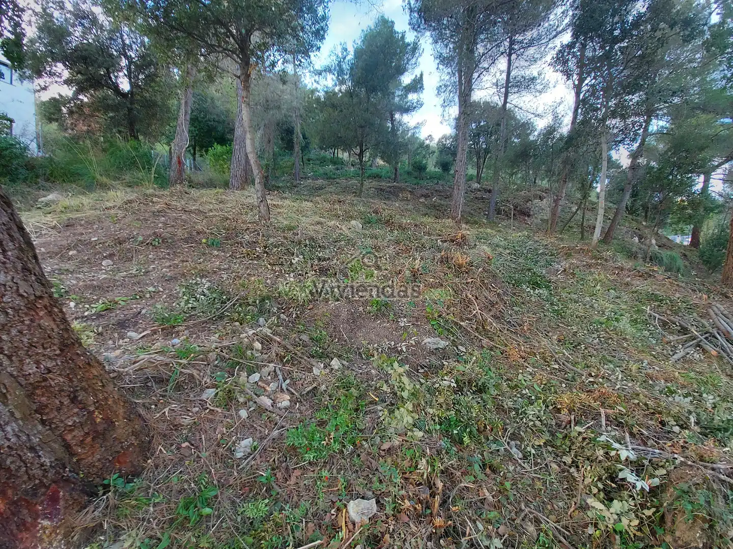 Residential land for sale in Vallirana, imagen 7