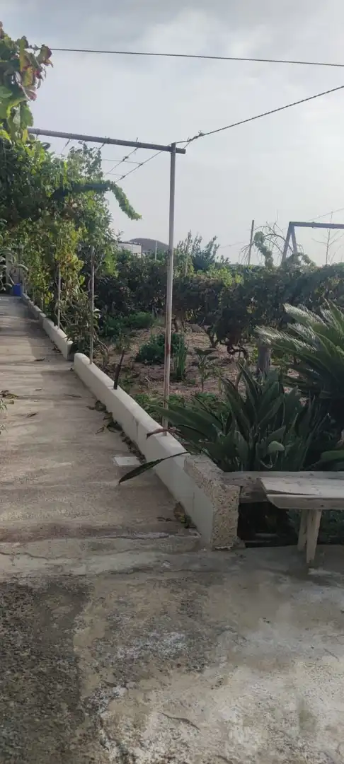 Garden of Houses for sale in Granadilla de Abona