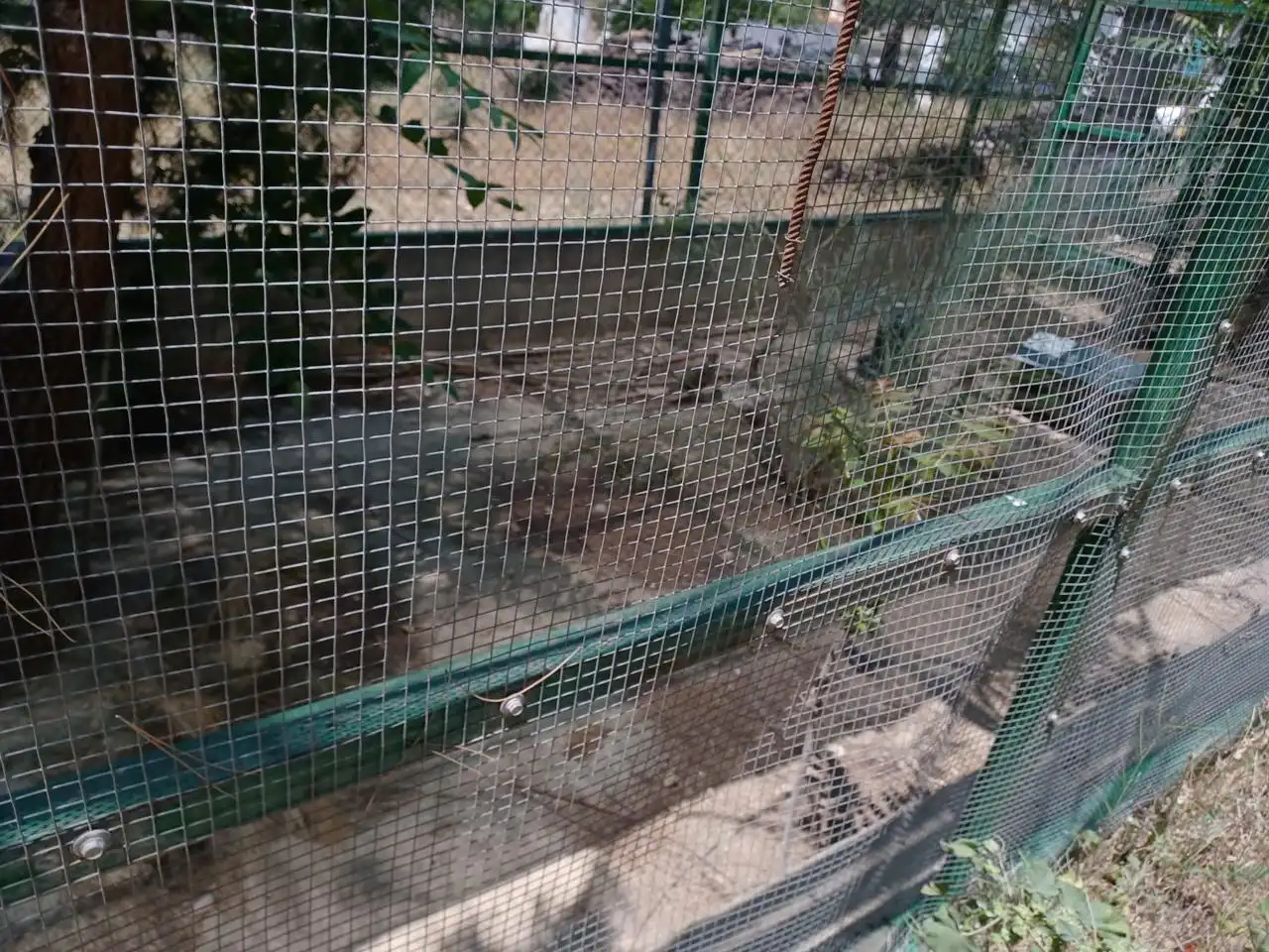 Terreni e lotti in vendita a De Cortes De Baza, imagen 7