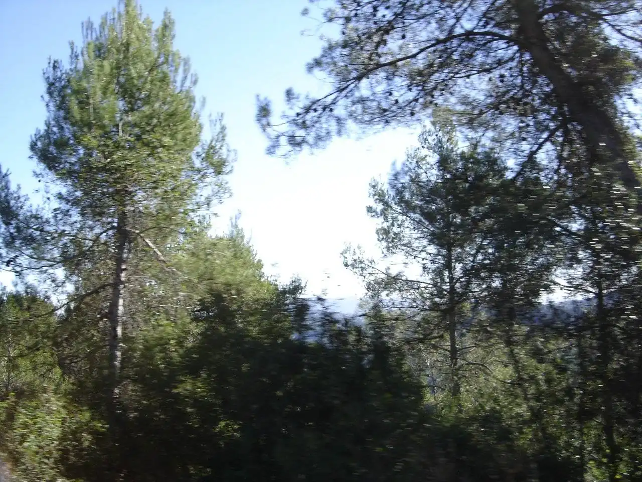 Terreny industrial en venda en Gelida