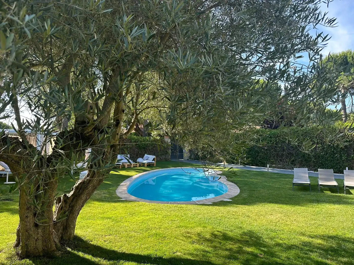 Piscina de Casa o chalet en venta en Boadilla del Monte con Aire acondicionado, Calefacción y Jardín privado