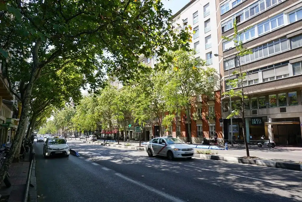 Pis amb ascensor de lloguer a Calle del Príncipe de Vergara 81, imagen 30