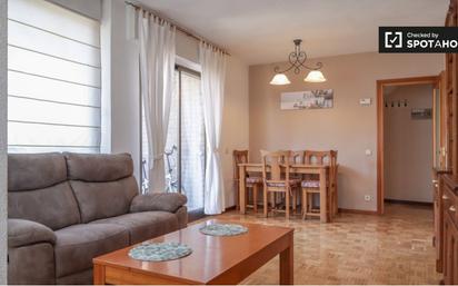 Living room of Flat to rent in  Madrid Capital  with Air Conditioner, Heating and Furnished