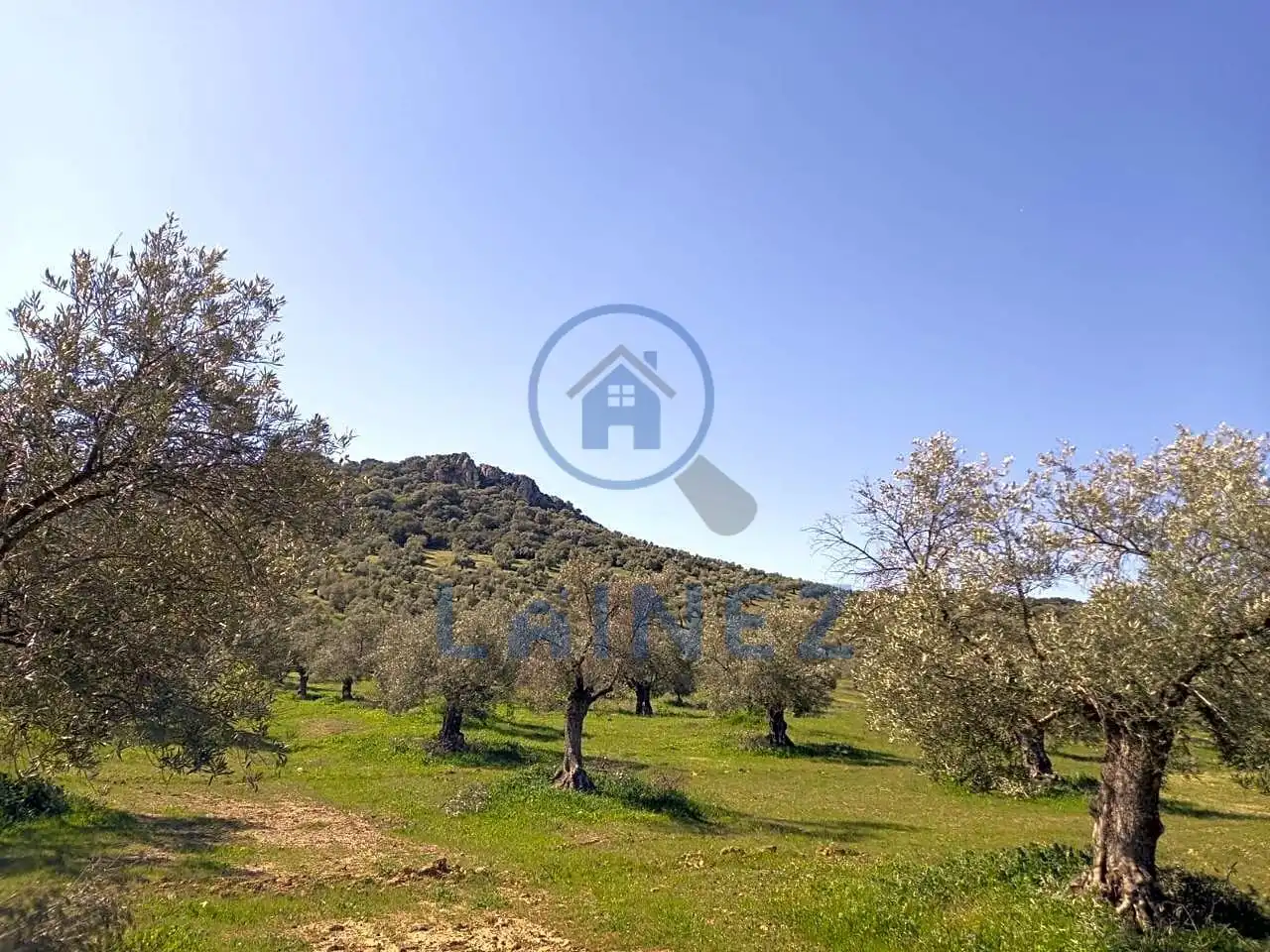 Terreny residencial en venda a Belmez, imagen 8