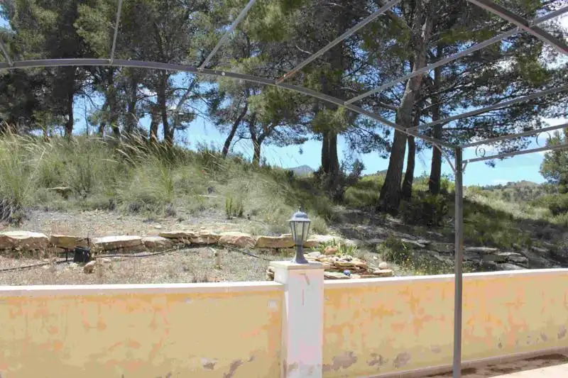 Villa avec jardin à vendre à Fortuna, imagen 12
