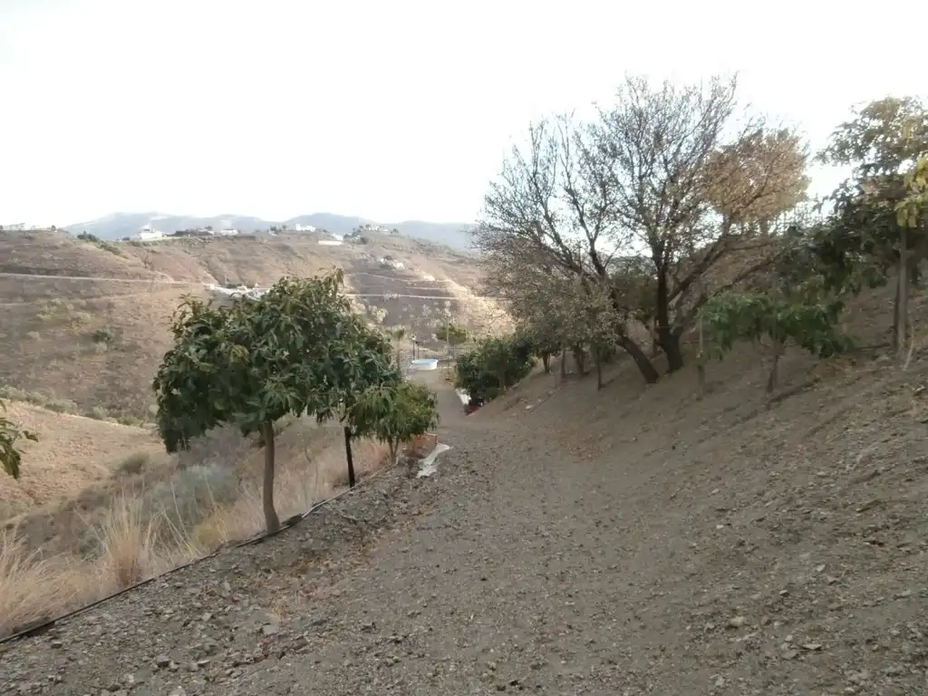 Terrenys i solars en venda a Canillas de Aceituno, imagen 18