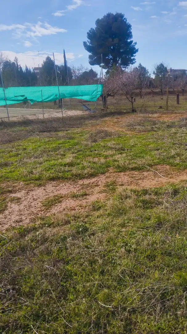 Houses for sale in Albacete  with Private garden