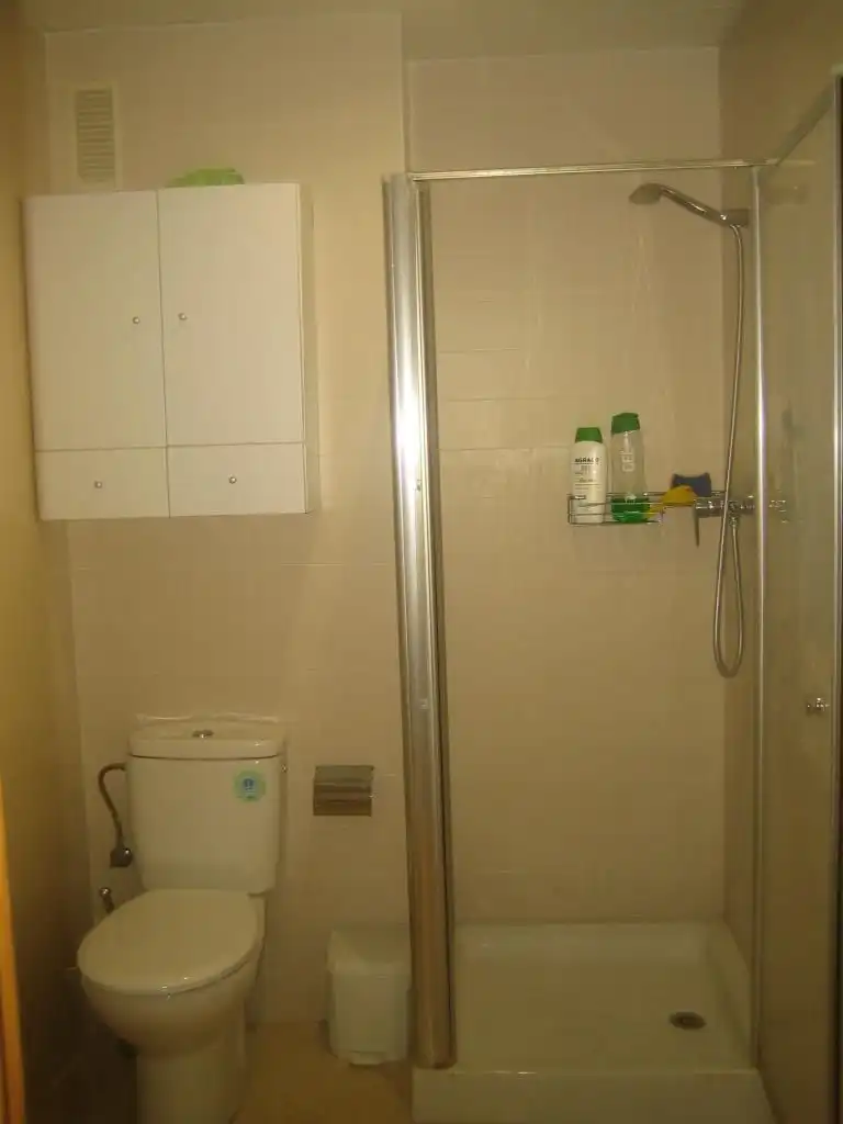 Flat for rent in Centro - Sagrario