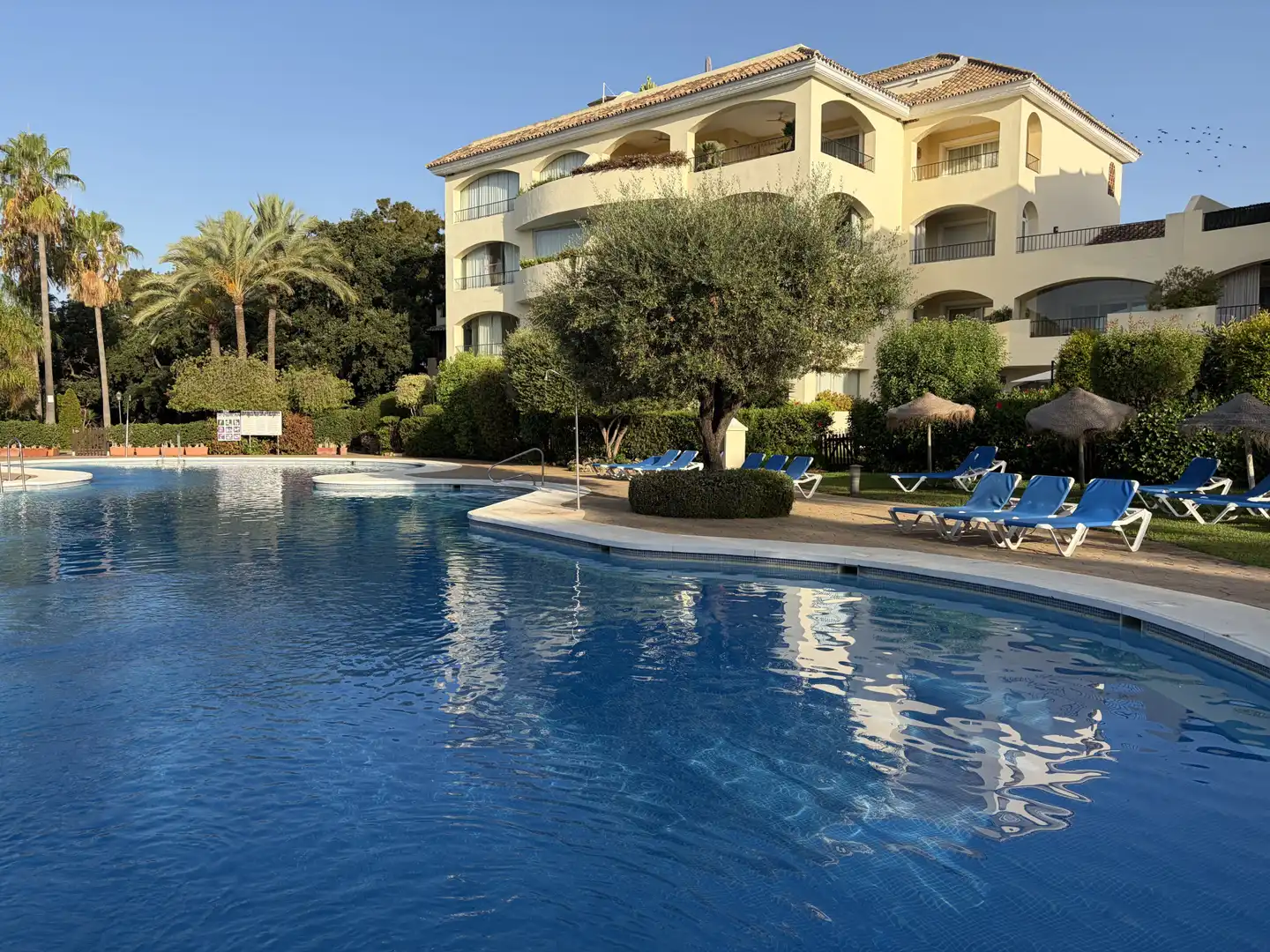 Piscina de Apartament de lloguer en Marbella amb Aire condicionat, Terrassa i Piscina