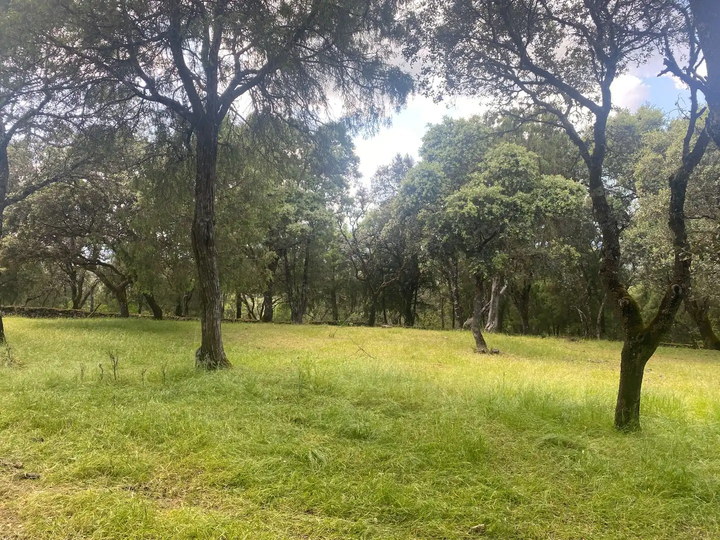 Finca rústica en venta en El Real de San Vicente con Aire acondicionado, Calefacción y Terraza