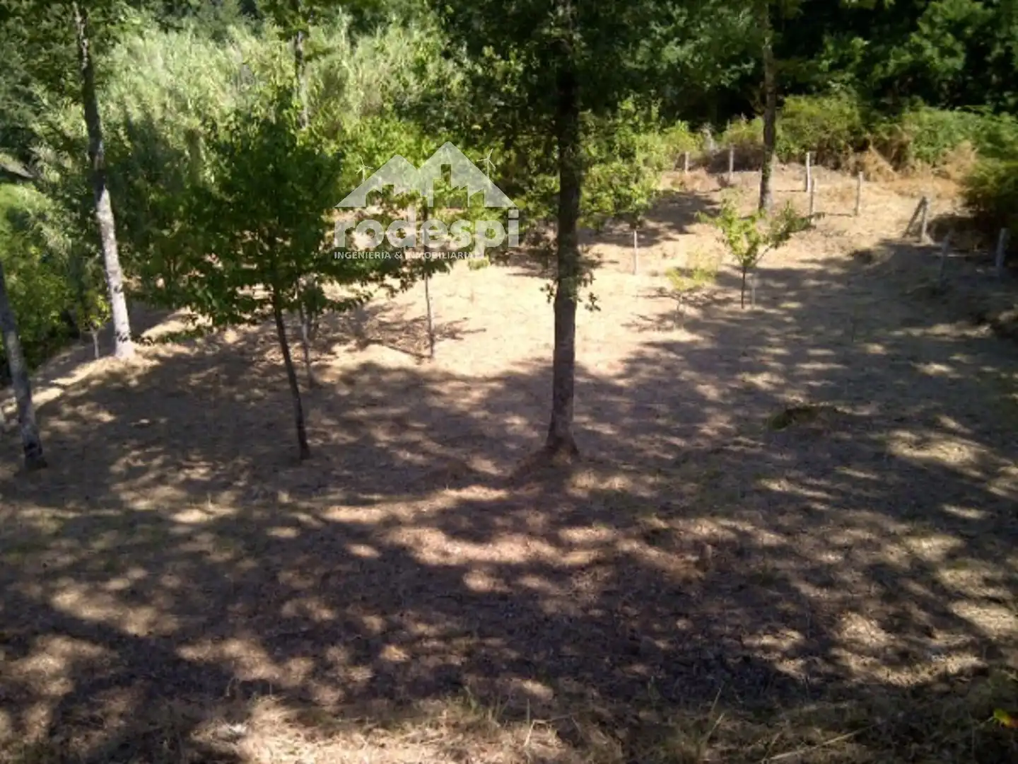 Terreny rústic en venda a A Cañiza, imagen 2