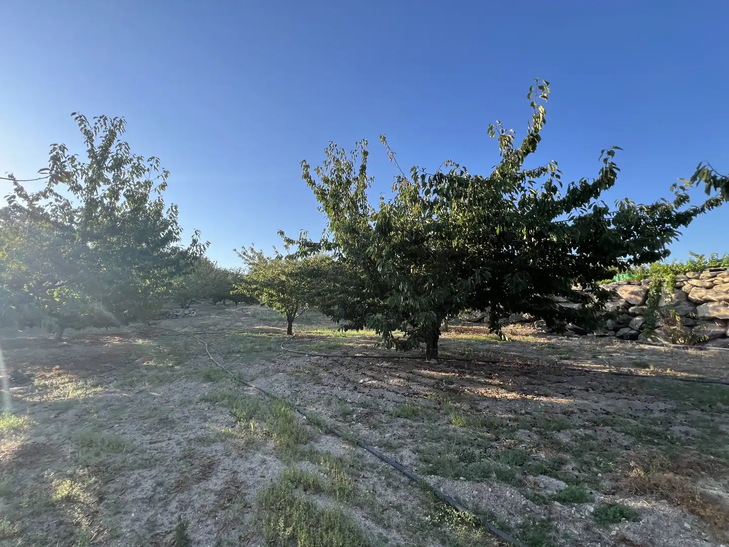 Terreni e lotti in vendita a Garganta la Olla, imagen 15