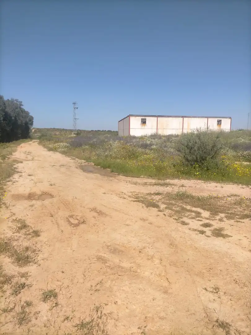 Terreno rústico en venta en La Palma del Condado, imagen 4