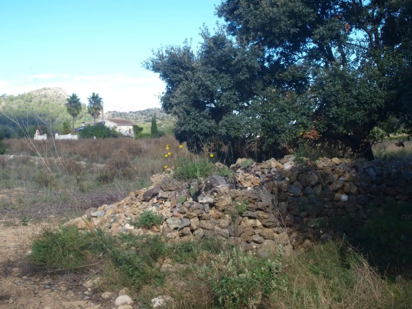 Terreny residencial en venda a Murla, imagen 2