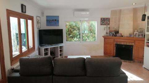 Foto 4 de Finca rústica en venda a Ciutat d'Alcúdia, Alcúdia