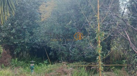 Photo 5 of Houses for sale in Cornazo, Vilagarcía de Arousa