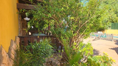 Foto 5 de Finca rústica en venda a Sangonera la Seca, Murcia