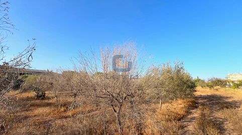 Photo 5 of Residential for sale in Sol y Luz, San Vicente del Raspeig / Sant Vicent del Raspeig