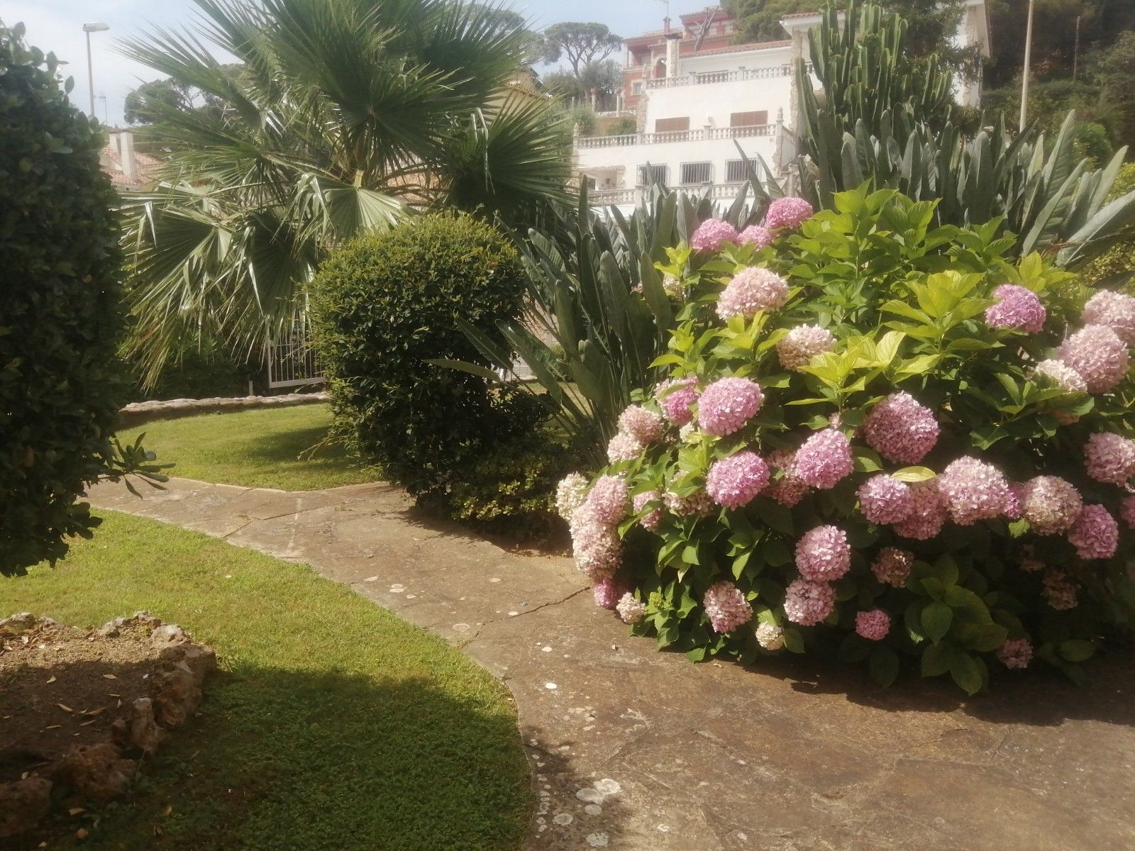 Garden of Premises for sale in Lloret de Mar