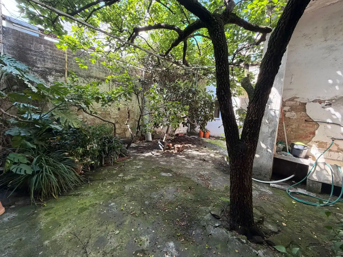 Jardín de Casa o chalet en venta en Gandia con Jardín privado