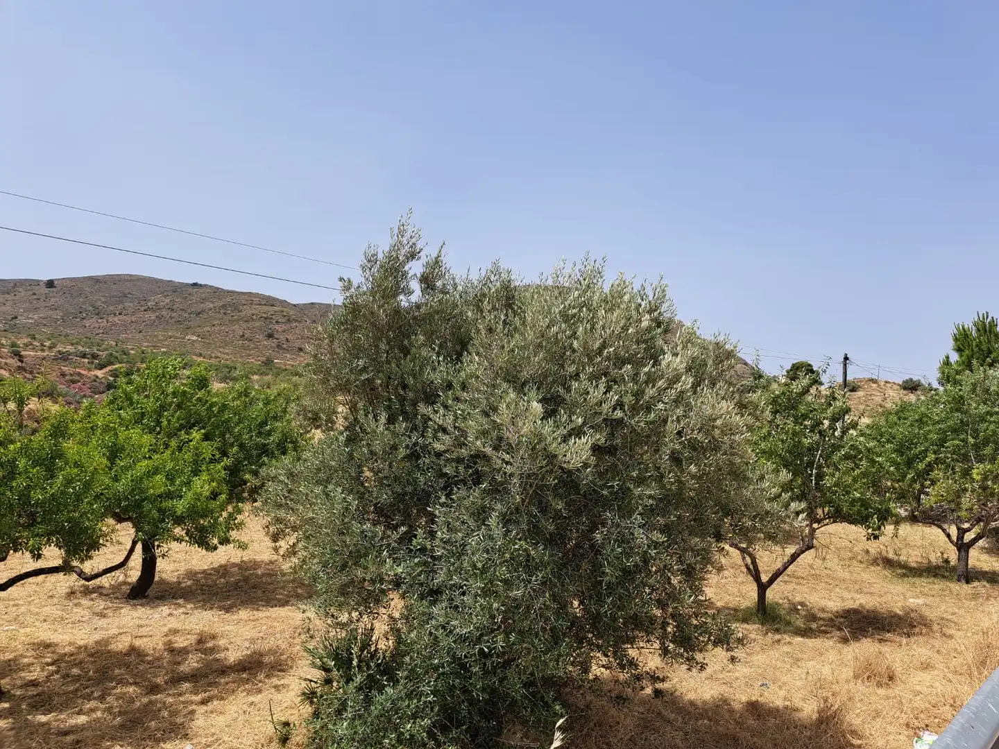 Casa o xalet en venda en Cartagena amb Aire condicionat, Calefacció i Jardí privat