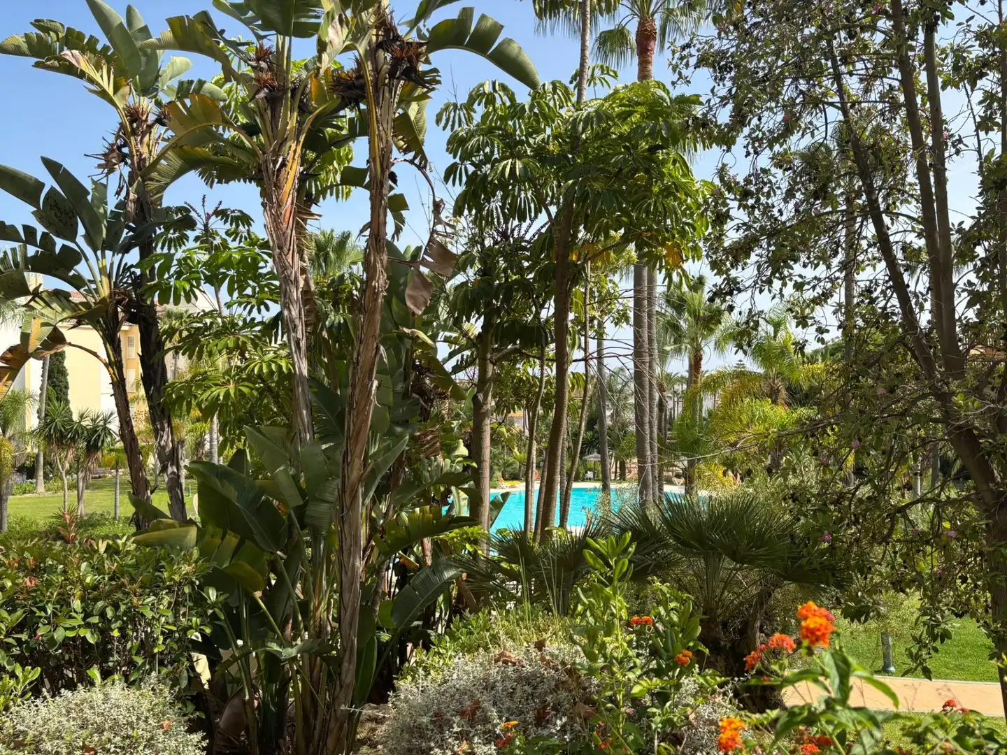 Jardín de Apartamento de alquiler en Marbella con Aire acondicionado, Terraza y Piscina comunitaria