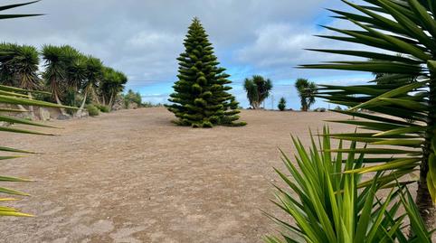 Photo 2 of Building for sale in Calle Tigaiga, Los Realejos pueblo, Santa Cruz de Tenerife