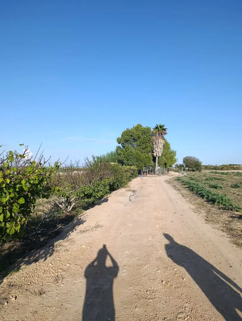Terrain rustique à vendre à La Marina, imagen 22