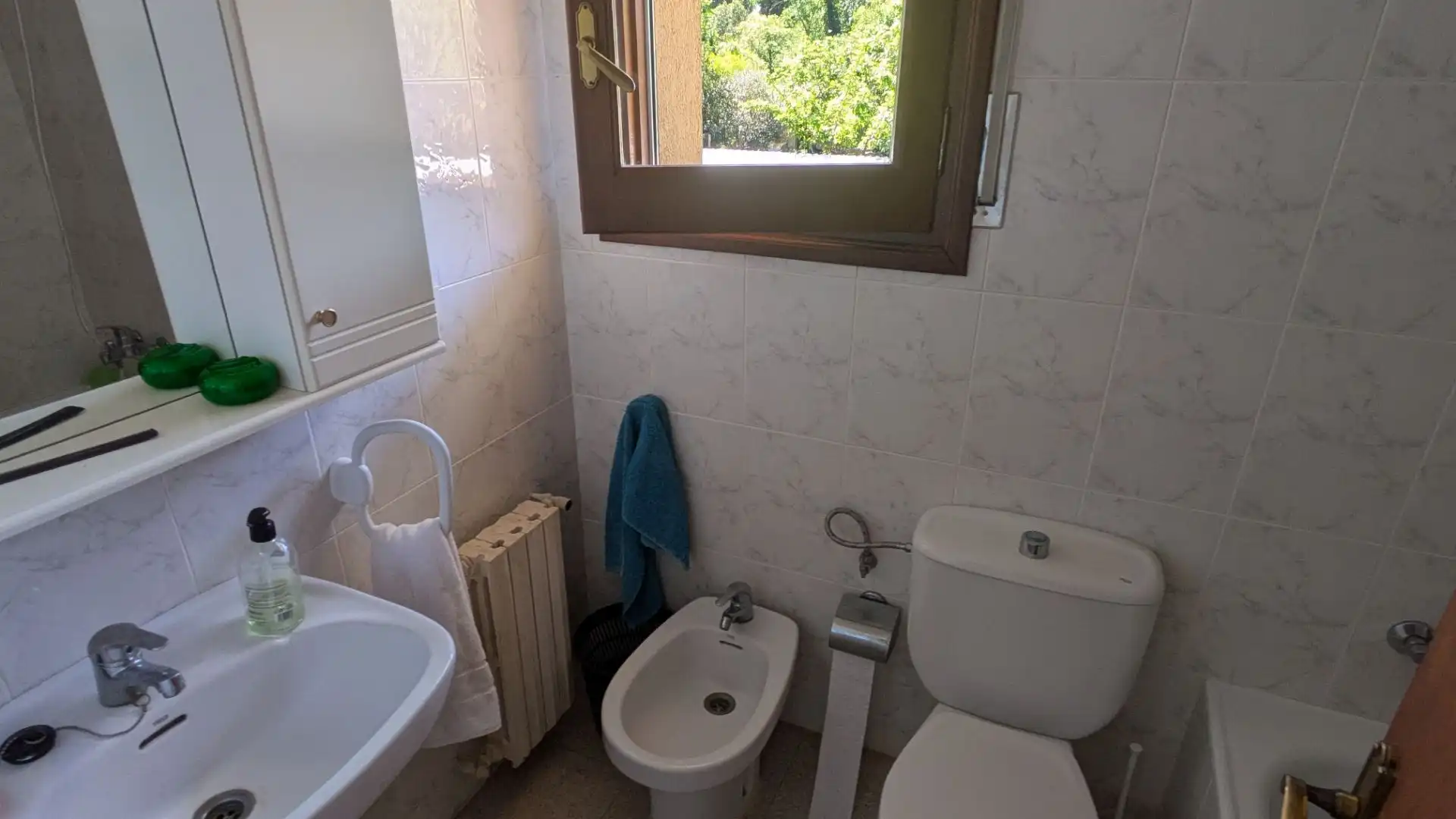 Bany de Casa o xalet en venda en Amer amb Calefacció, Jardí privat i Terrassa
