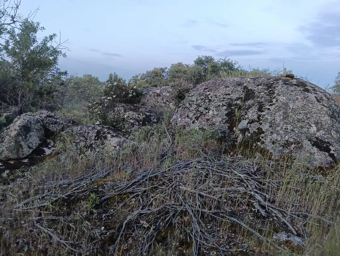 Casa o xalet en venda en Valdemorillo