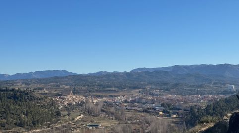 Valderrobres.- Finca de Almendros con másico y almacén, immagine 4