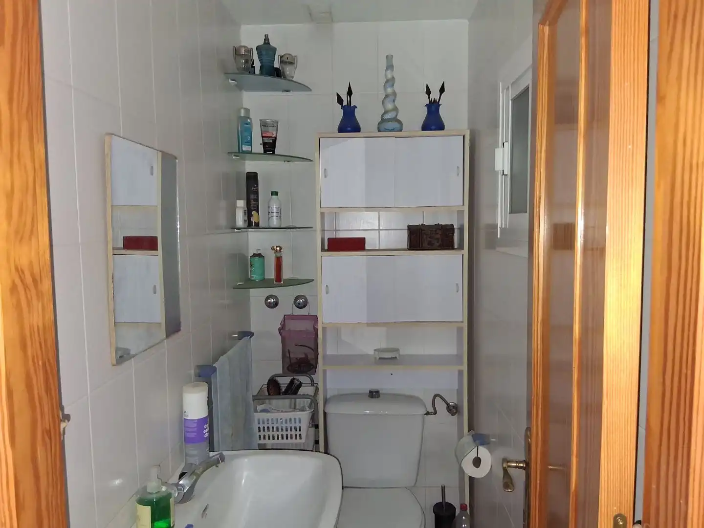 Bany de Casa o xalet en venda en El Ejido Ciudad