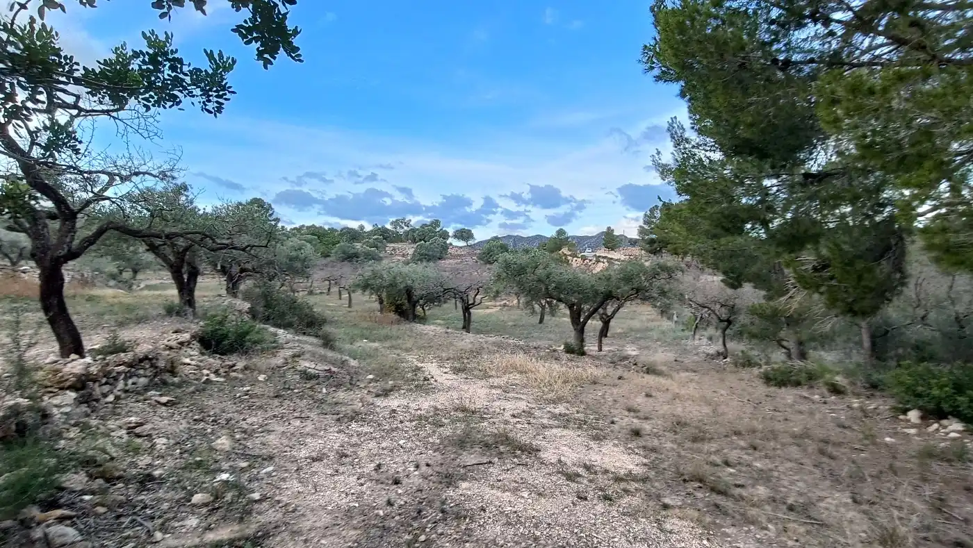 Terrain rustique à vendre à Rasquera, imagen 3