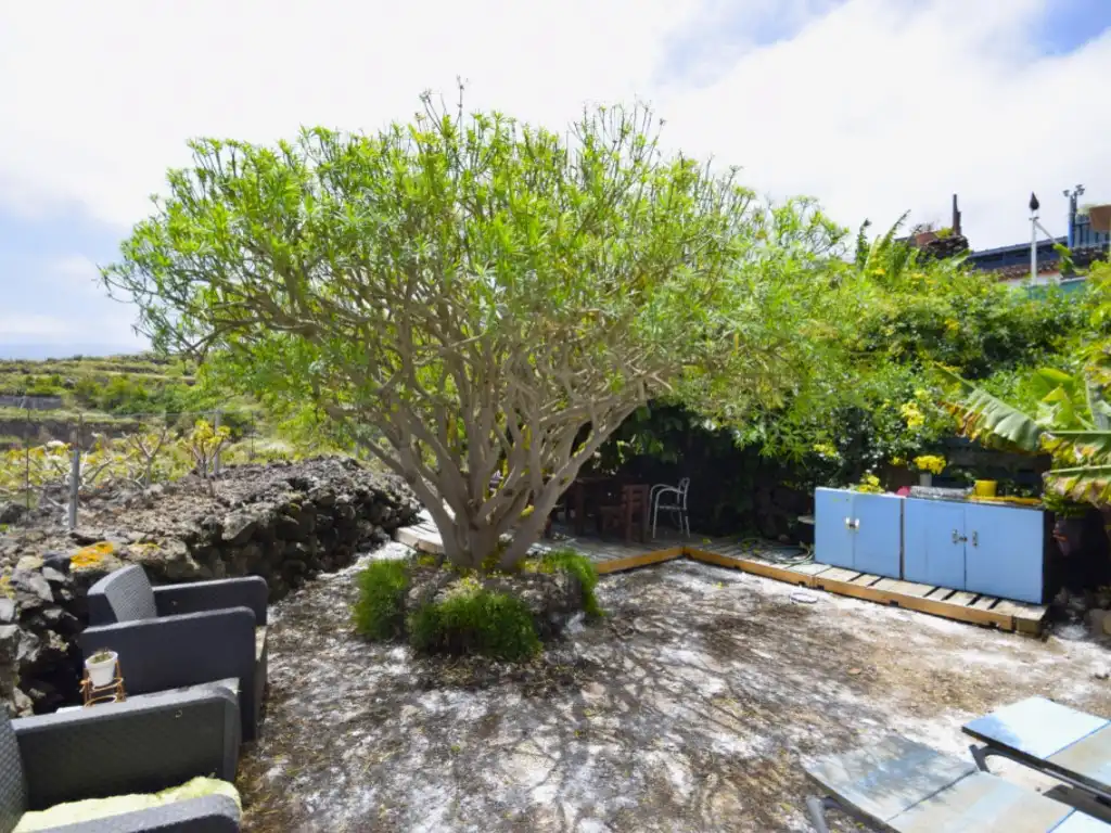 Jardí de Finca rústica en venda en Garachico