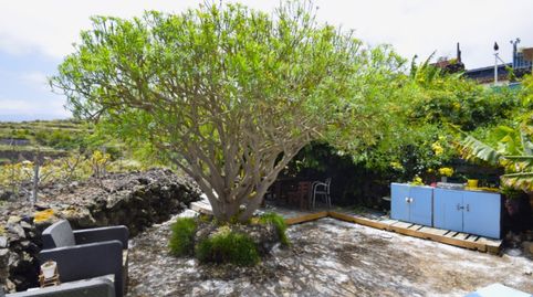 Foto 4 de Finca rústica en venta en Garachico, Santa Cruz de Tenerife
