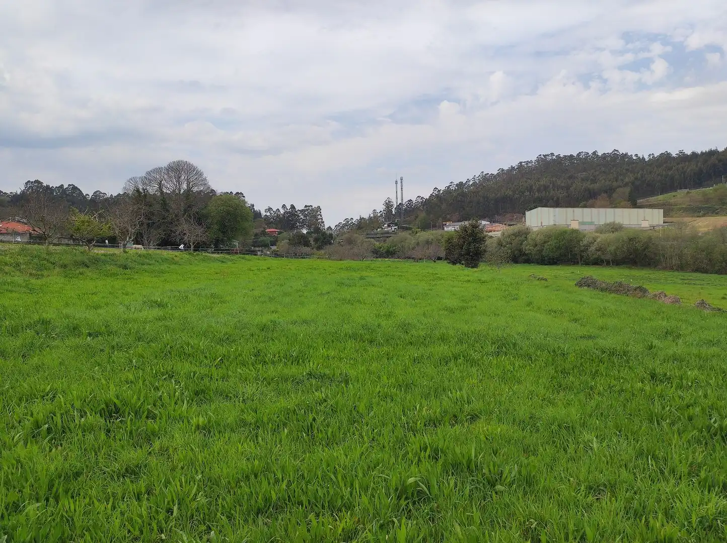 Terreny rústic en venda a Lugar Orro, imagen 3