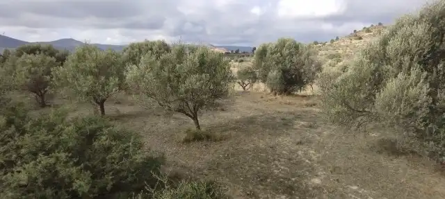 Terrain rustique à vendre à Villar del Arzobispo, imagen 7
