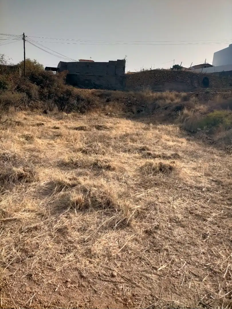 Terreno rústico en venta en Araya, imagen 14
