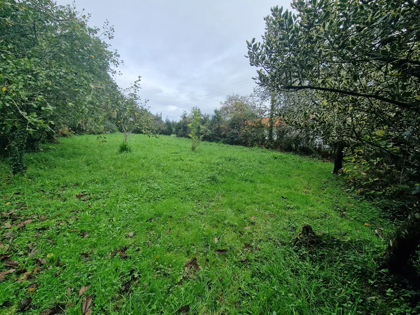 Maison avec jardin à vendre à Valdoviño, imagen 9