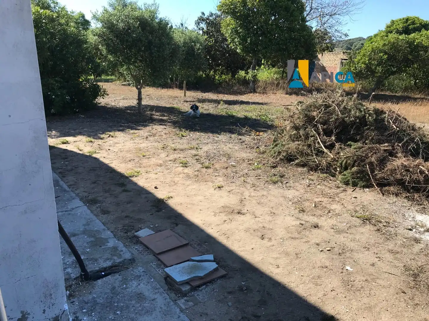 Casa o xalet en venda a Barbate ciudad