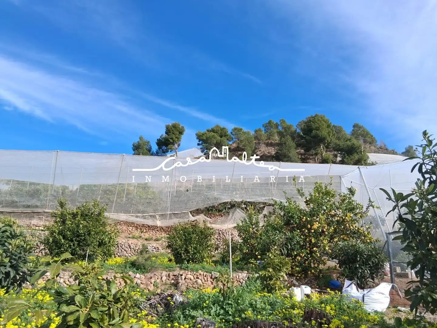 Houses for sale in Callosa d'en Sarrià