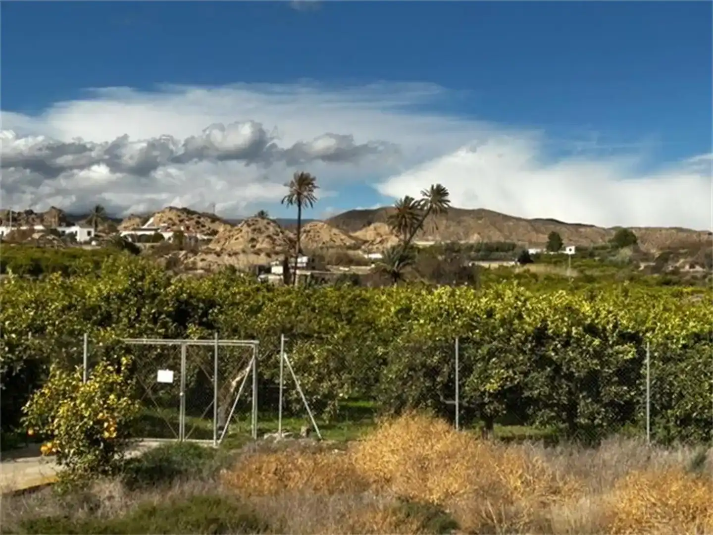 Vista exterior de Finca rústica en venda en Gádor, Almería