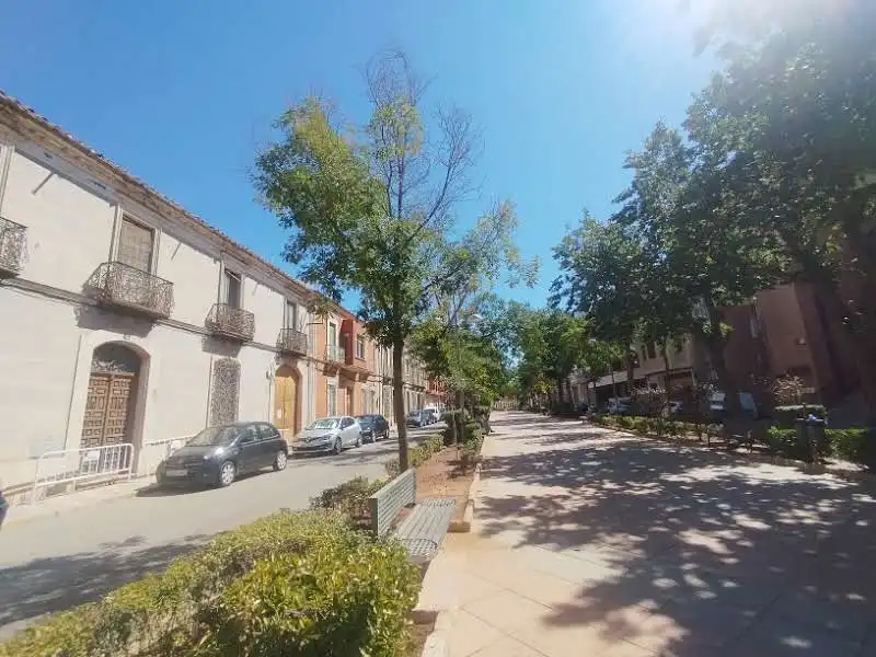 Maison à vendre à Paseo la Estación, imagen 6
