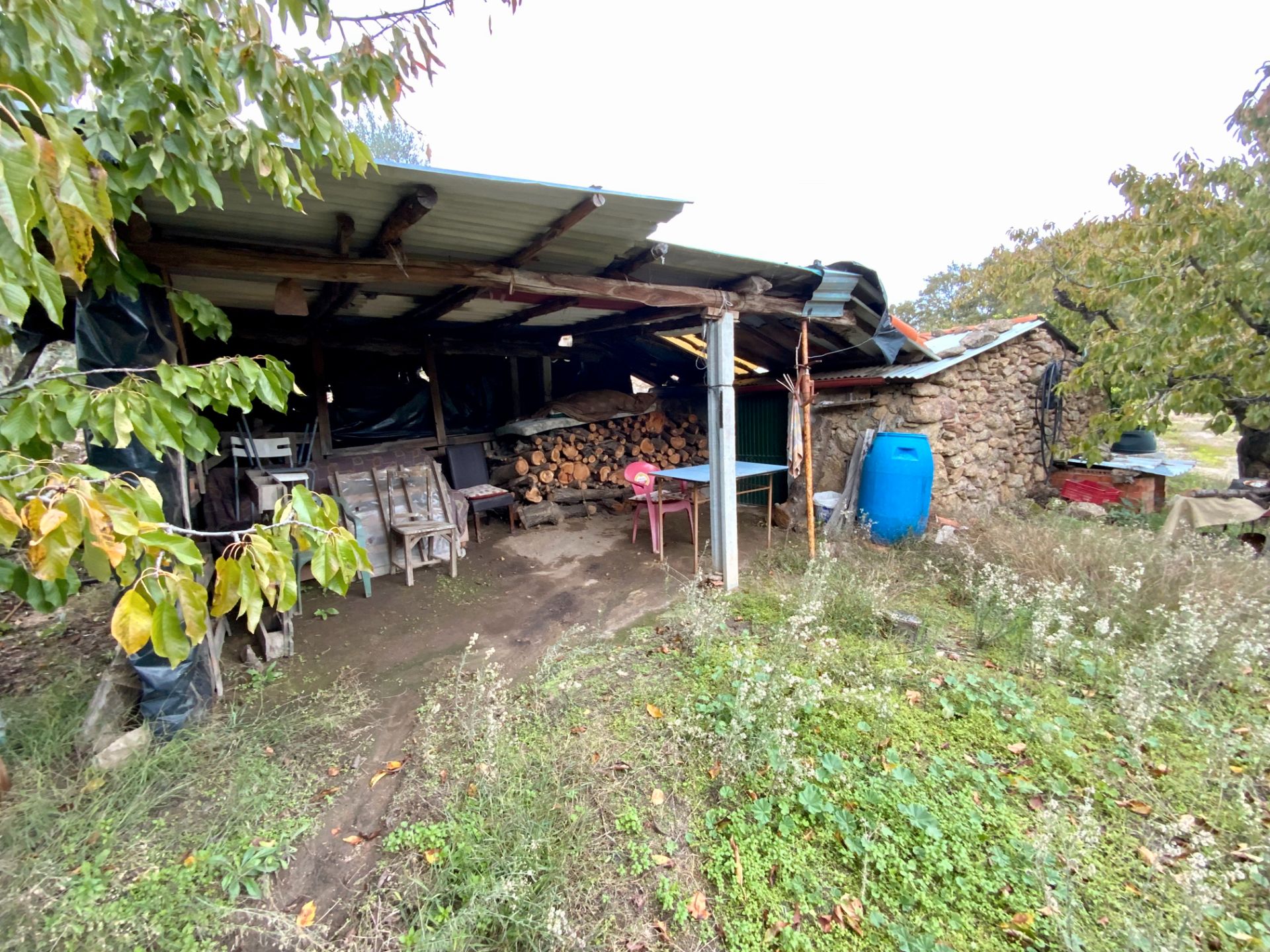 Terrace of Land for sale in Cuacos de Yuste