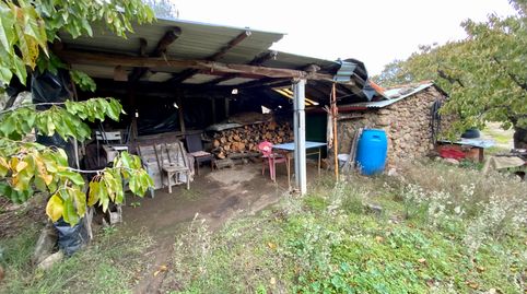 Venta de finca de cerezos con agua en la Vera, immagine 2