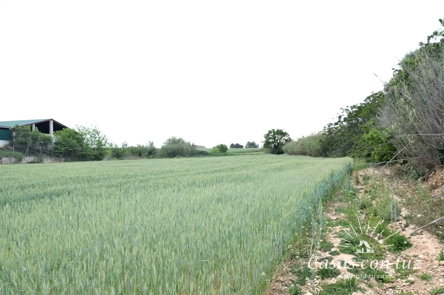 Terreno en venta en Zaragoza