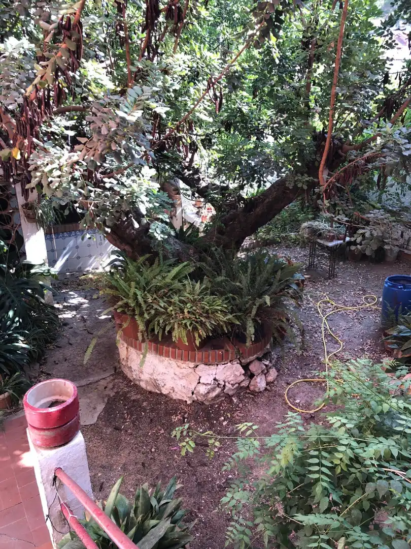 Haus zum Verkauf in Carrer Pare Gil Sendra, imagen 3