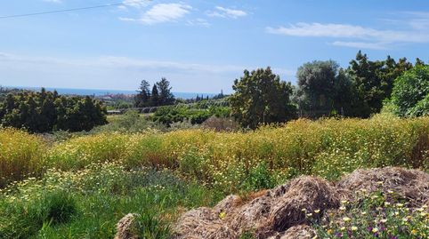 Fantástica finca rústica con vistas al mar en El Padrón  Estepona, imatge 4
