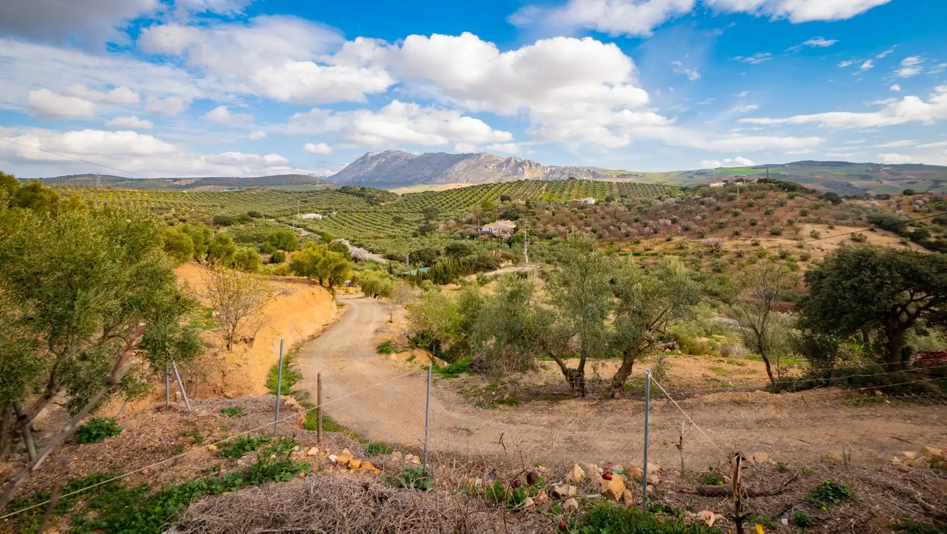Finca rústica en venta en Antequera
