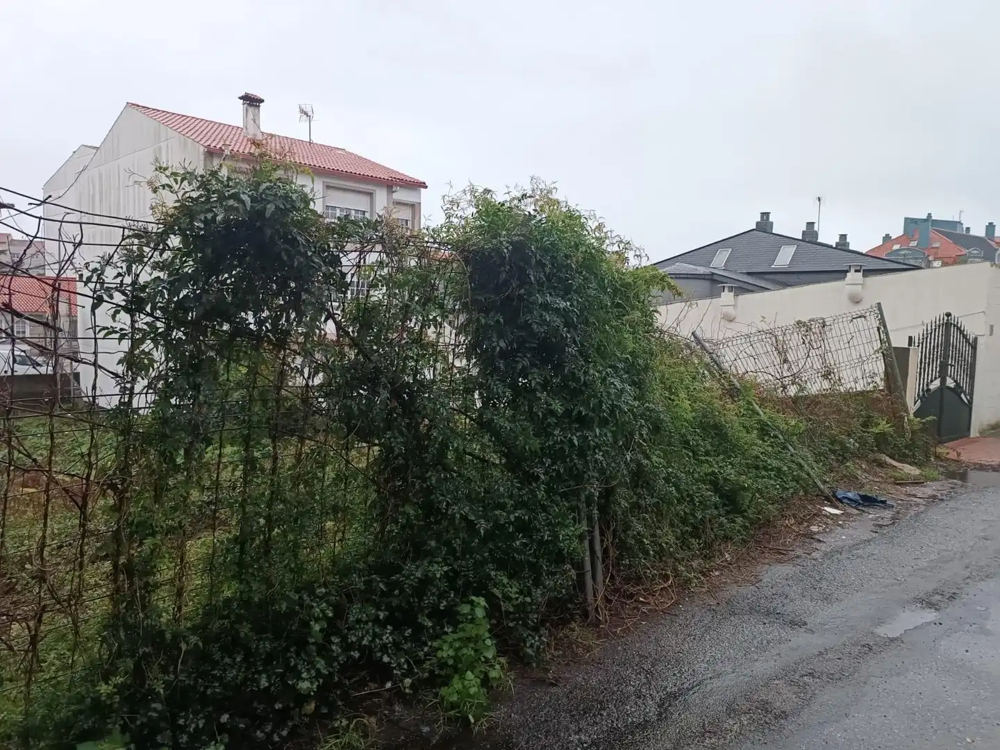 Residential land for sale in de Luis Antonio Mestre, imagen 19